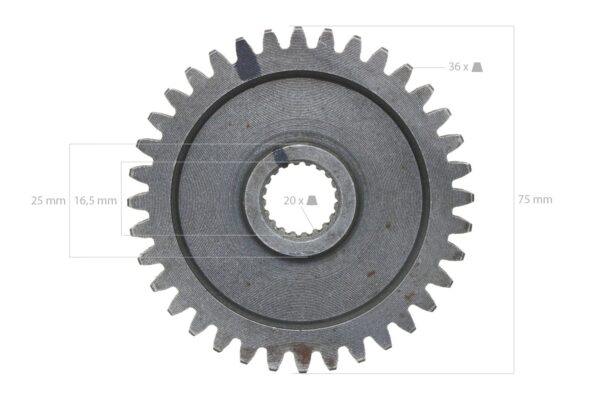 Tandwiel 36TX20T
