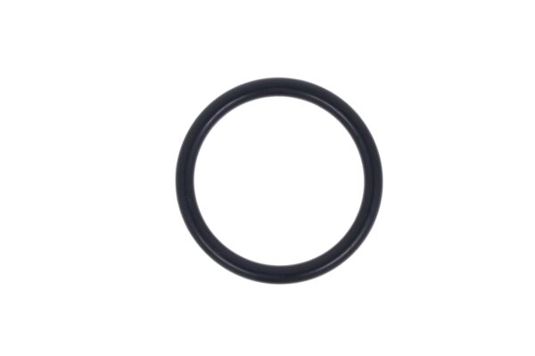 O-Ring hefcilinder Iseki TU, TS, TX, Bolens, Massey Ferguson, White, Kubota B-Serie - Afbeelding 2