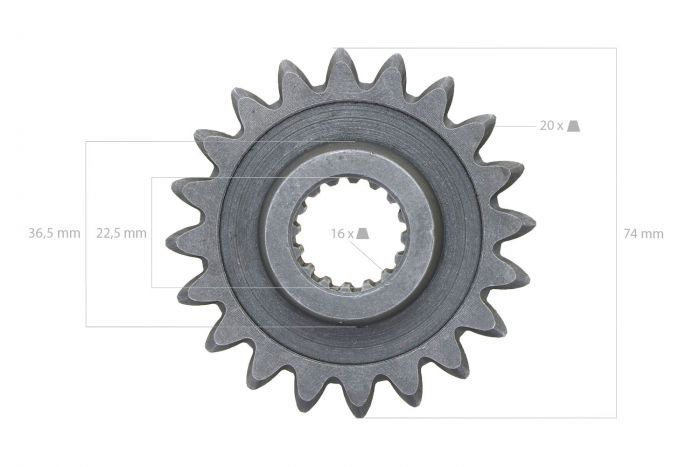 main product photo